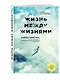 Жизнь между жизнями. 3-е издание - фото 3