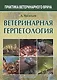 Ветеринарная герпетология - фото 2