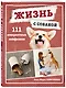 Жизнь с собакой. 111 невероятных лайфхаков - фото 3
