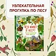 Кто живёт в лесу? Иллюстрированный атлас животных - фото 4