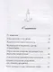 Воспитание детей. Православный взгляд. Советы современных пастырей и святых отцов - фото 2