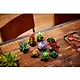 LEGO Botanical Collection: Суккуленты, 771 деталь (10309) - фото 6