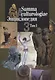 Summa culturologiae. Энциклопедия. Том 1 (комплект из 4 книг) - фото 2