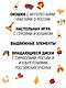 Россия. Интерактивная книга. Более 70 окошек + игра - фото 2