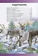 Животные мира.Энциклопедия для детей(МЕЛОВКА) - фото 2