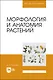Морфология и анатомия растений. Учебное пособие - фото 1