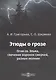 Этюды о грозе: Огни св. Эльма, свечение воронок смерчей, разные молнии: монография - фото 1