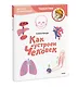 Как устроен человек. Детская энциклопедия (Чевостик) (Paperback) - фото 3