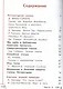 Литературное чтение. 3 класс. В 4 частях. Часть 4. Учебник для детей с нарушением зрения. Учебник для общеобразовательных организаций - фото 2