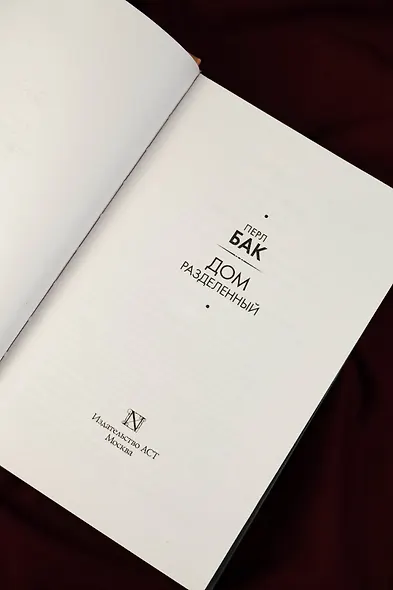 Дом разделенный - фото 7