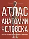 Атлас анатомии человека. Русско-латинско-английское издание - фото 1