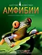Амфибии. Энц. для школьников - фото 2