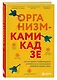 Организм-камикадзе. Как распознать начинающееся аутоиммунное заболевание и вовремя принять меры - фото 3