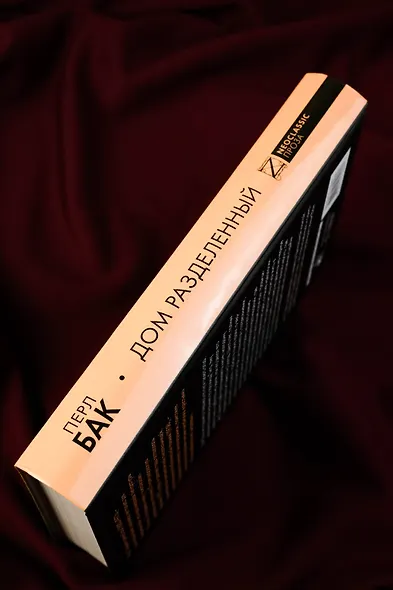 Дом разделенный - фото 6