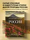 Путешествие к сердцу России. Альбом дикой природы от Белого моря до Камчатки - фото 4