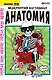 Невероятно наглядная анатомия. Манхва - фото 1
