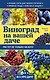 Виноград на вашей даче. Растет не только на юге! - фото 1