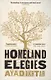 Homeland Elegies - фото 1