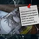 Спящие псы - фото 7