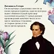 Алая буква - фото 7
