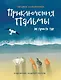 Приключения Пальмы. Не просто так: Книга третья - фото 1
