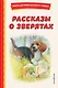 Рассказы о зверятах - фото 1
