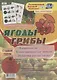 Игровой комплект с мнемосхемами по речевому развитию "Ягоды. Грибы". Старшая группа - фото 1
