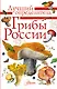 Грибы России. Определитель - фото 1
