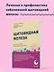 Щитовидная железа. Все от анализов до методов лечения - фото 4