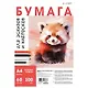 Бумага для графики А4 60л 100г/м2 - фото 1