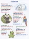 Про наших хвостатых друзей - фото 2