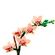 LEGO Botanical Collection: Мини-орхидея, 274 детали (10343) - фото 5