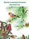 Лесная газета - фото 6