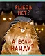 Тетрадь в клетку Listoff, "Слово котана", 48 листов - фото 5
