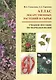 Атлас лекарственных растений и сырья. Учебное пособие по фармакогнозии - фото 1