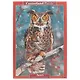 Пазл Castorland 500 эл. 47*33см. Большая рогатая сова B-52387 - фото 1