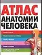Атлас анатомии человека - фото 1