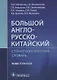 Большой англо-русско-китайский стоматологический словарь. 50 000 терминов - фото 1
