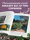 Секреты малоуходного сада. Как создать дизайн участка с неприхотливыми декоративными растениями - фото 6