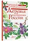 Деревья и кустарники России. Определитель - фото 3