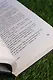 Зов лисы - фото 11