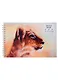 Скетчбук А5 40л "SKETCHBOOK. Leo", белый офсет, 100г/м2, евроспираль - фото 1