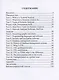 Английский язык для системных аналитиков. English for Systems Analysts - фото 3