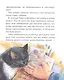 Кошкология и котоведение Тима Усатого - фото 4
