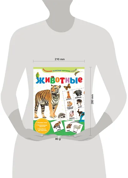 Животные - фото 3