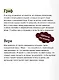Дракула. Вечные истории - фото 7