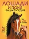 Лошади и пони - фото 1