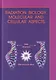 Молекулярная и клеточная радиобиология = Radiation biology. Molecular and cellular aspects: учебное пособие - фото 1