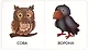 Книга Мои первые слова. Дикие животные. 1-2 года - фото 3