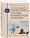 Основы клинической анатомии. Иллюстрированный атлас нозологий и патологий - фото 3
